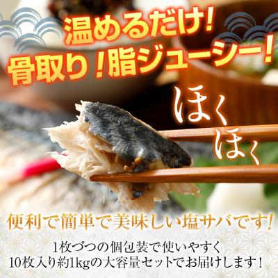 ふるさと納税 古賀市 【調理済】塩さば焼きフィーレ(骨取り) |  | 01
