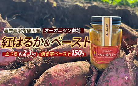 紅はるか約2.3kg・おとなの焼き芋ペースト1瓶セット (マツキアグリ/010-2077) さつまいも 芋 紅はるか 焼き芋 手作り オーガニック栽培 