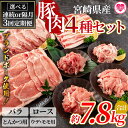 【ふるさと納税】＜【定期便】全3回連続隔月 豚肉セット（スライス、とんかつ用、切り落とし）総量約7.8kg＞国産 九州産 宮崎県産 豚肉 バラ ロース ウデ モモ ブランドポーク 切り落とし スライス とんかつ用 トンカツ 焼肉 バーベキュー BBQ 【MI415-nm-x1】【ニクマル】