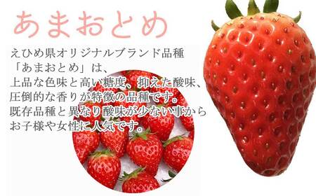 【先行予約】 フルーツ いちご 苺 「あまおとめ」 または 「紅い雫」 厳選大玉 約400g エコえひめ認証 愛媛県 オリジナルブランド品種 箱入り クール便 新鮮 朝摘み 収穫当日発送 ichigo