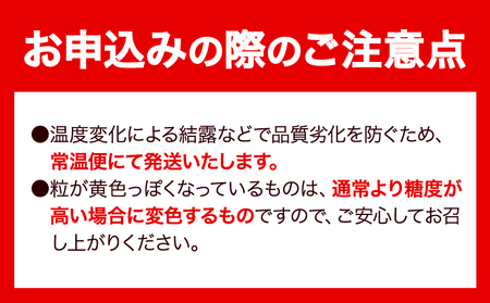 たたらみねらる 瀬戸ジャイアンツ お試しサイズ 1房 約550g Y＆G.ディストリビューター株式会社《2025年8月下旬-10月下旬頃出荷》岡山県 笠岡市 マスカット ぶどう ブドウ 葡萄 フルーツ