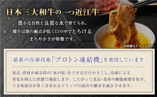 近江牛 A5ランク ロース すき焼き ・ しゃぶしゃぶ用 600g 牛肉 お肉 肉 ニク にく 牛 日本三大和牛 和牛 精肉 特製たれ 国産 滋賀県産 冷凍