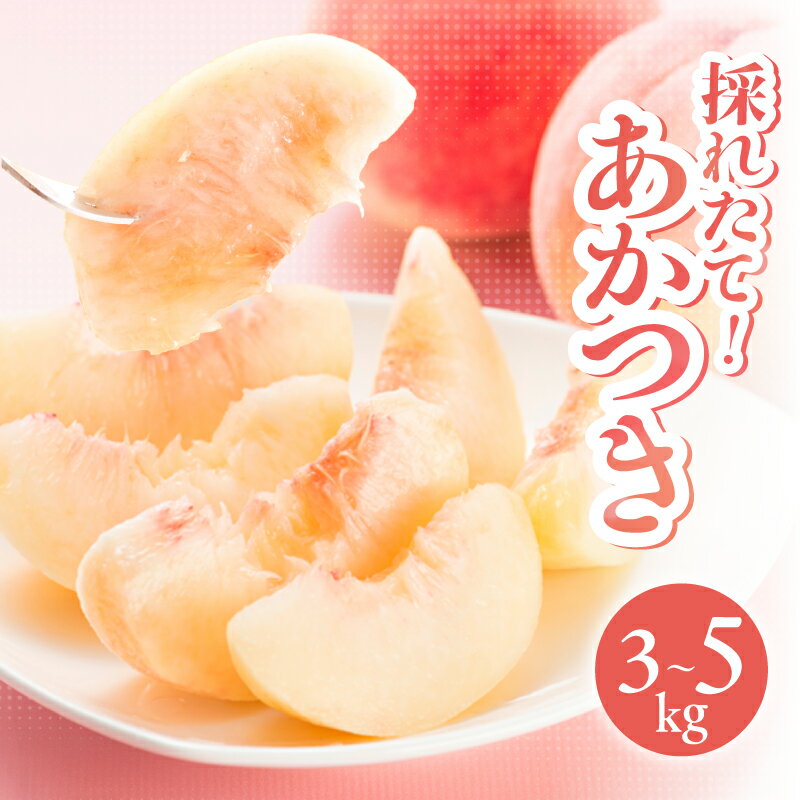 【ふるさと納税】長野県 南信州産 桃 あかつき【2025年先行受付】 選べる 3kg 5kg やまやす中島農園 | 果物 くだもの フルーツ 桃 もも あかつき ジューシー 長野県 飯田市 信州