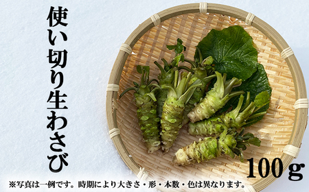 岩手県産 生わさび 使い切りサイズ 100g 【安比清流山葵園】 ／ 山葵 ワサビ わさび 薬味 国産 八幡平市産 産地直送 新鮮 調味料 刺身 蕎麦 和え物 漬け物 刻み おろし 辛味 お寿司 そば 肉の薬味 魚の薬味 そばの薬味 おすすめ オススメ