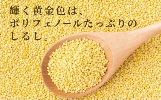 沖縄県波照間島産　日本最南端の島から贈る『もちきび』400g×1袋　とんちぇ農園（農薬・化学肥料不使用）【もちきび 波照間島 沖縄 無農薬 農薬不使用 国産 雑穀】 400g×1袋