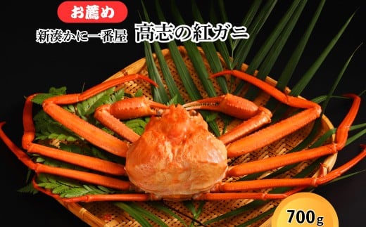 新湊かに一番屋【お薦め】高志の紅ガニ700g ズワイガニ 紅ずわいがに 紅ズワイガニ カニ 蟹 かに かにしゃぶ カニしゃぶ 蟹しゃぶ かに鍋 カニ鍋 蟹鍋  魚貝類 魚介類 ボイル 海鮮 ズワイガニ 茹でたて 新鮮 国産 富山県産 富山湾 北陸 富山カニ 北陸カニ 富山かに 北陸かに 富山蟹 北陸蟹 ※2025年10月上旬～2026年4月中旬頃に順次発送 ※北海道・沖縄・離島への配送不可