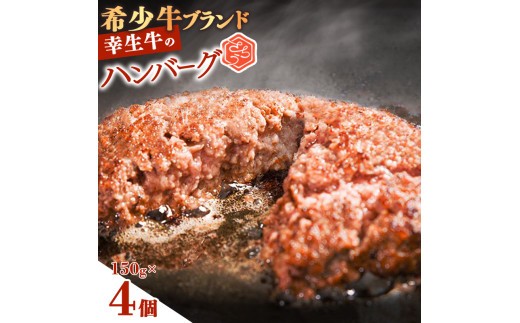 【30営業日以内配送】幸生牛 ハンバーグ 150g×4個 ハンバーグ 肉 牛肉 希少 山形 《幸せを運ぶ牛》 008-D-YL056