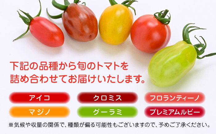 【期間限定】熊本県産 減農薬栽培 トマト ミディトマト 詰め合わせ 30個セット+800g  食べ比べ ギフトセット 産地直送 とまと【矢仁田農園】 [YDE005]