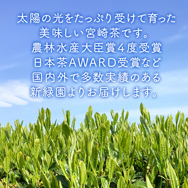 宮崎日本茶専門店 特撰ぐり茶100g 10本セット お茶 緑茶 ギフト お取り寄せ【E230】_イメージ4
