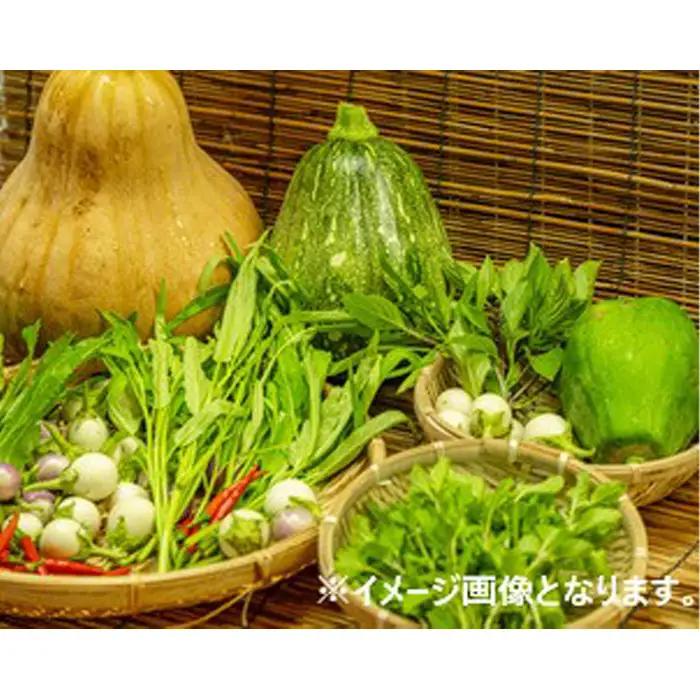 河南町新鮮アジア野菜「お手軽セット」 No.332