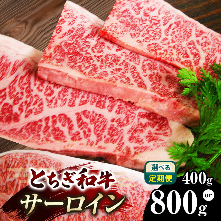 【ふるさと納税】 とちぎ和牛 サーロイン200g×2 200g×4【選べる内容量・定期便】栃木県共通返礼品 | 単品 定期便 3回 6回 サーロイン 黒毛 和牛 牛肉 焼肉 ステーキ BBQ ブランド和牛 とろける 霜降り 赤身 切り落とし ふるさと 納税 イチオシ おすすめ 栃木県 下野市