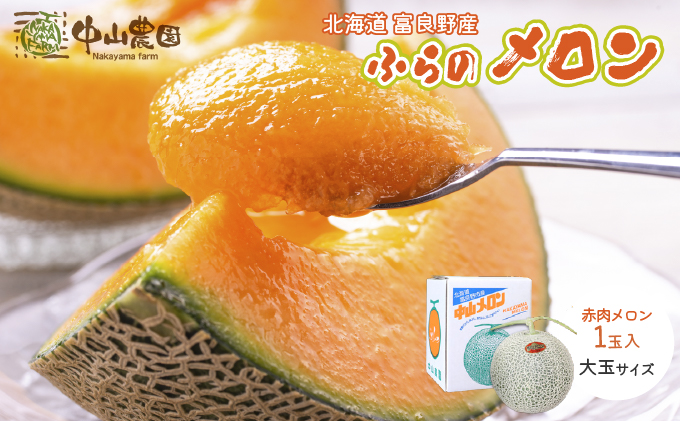 【2026年夏発送】北海道 富良野産 赤肉メロン 1玉 1.6kg以上 大玉サイズ メロン フルーツ 果物 