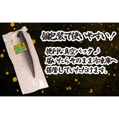 ふるさと納税 銚子市 適塩さば・昆布エキス入(真空)　6枚入 |  | 03