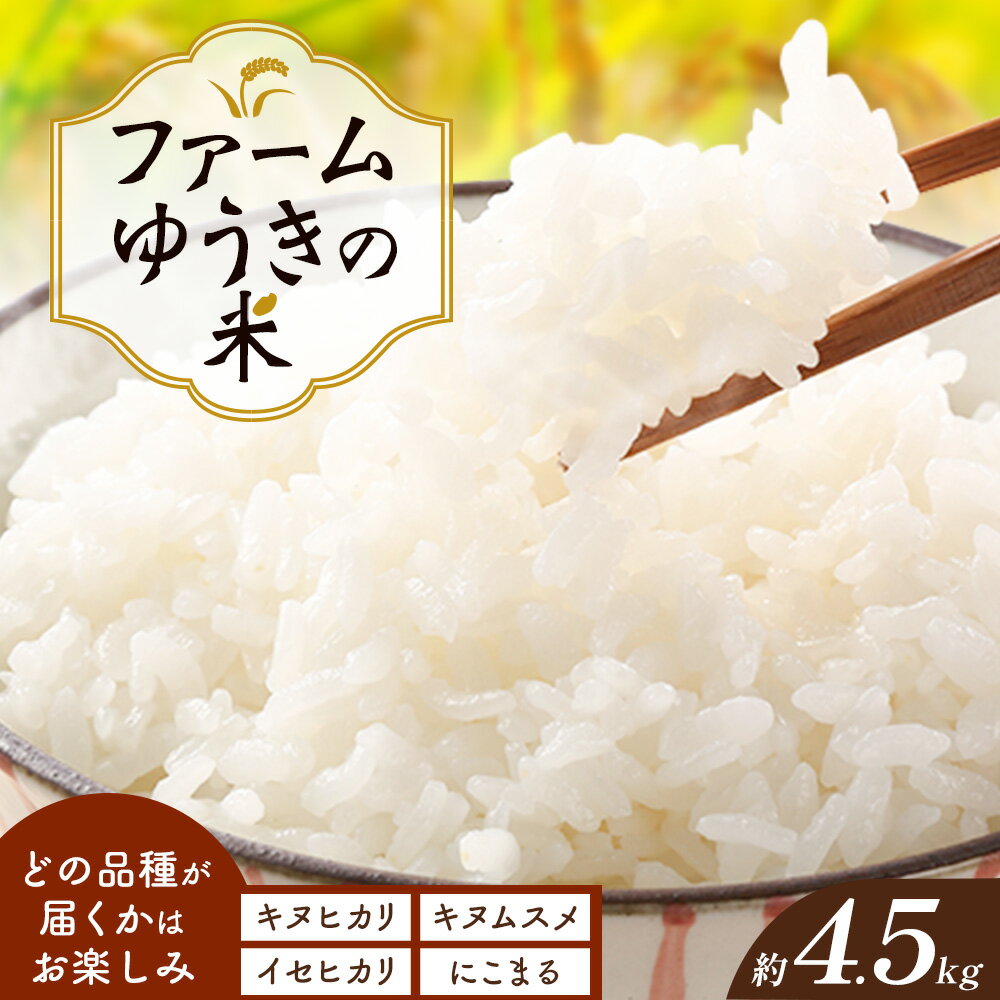 【ふるさと納税】米 こめ キヌヒカリ キヌムスメ イセヒカリ にこまる ファームゆうきの米 約4.5kg 《11月上旬‐1月中旬頃出荷》ファームゆうき 和歌山県 岩出市 送料無料