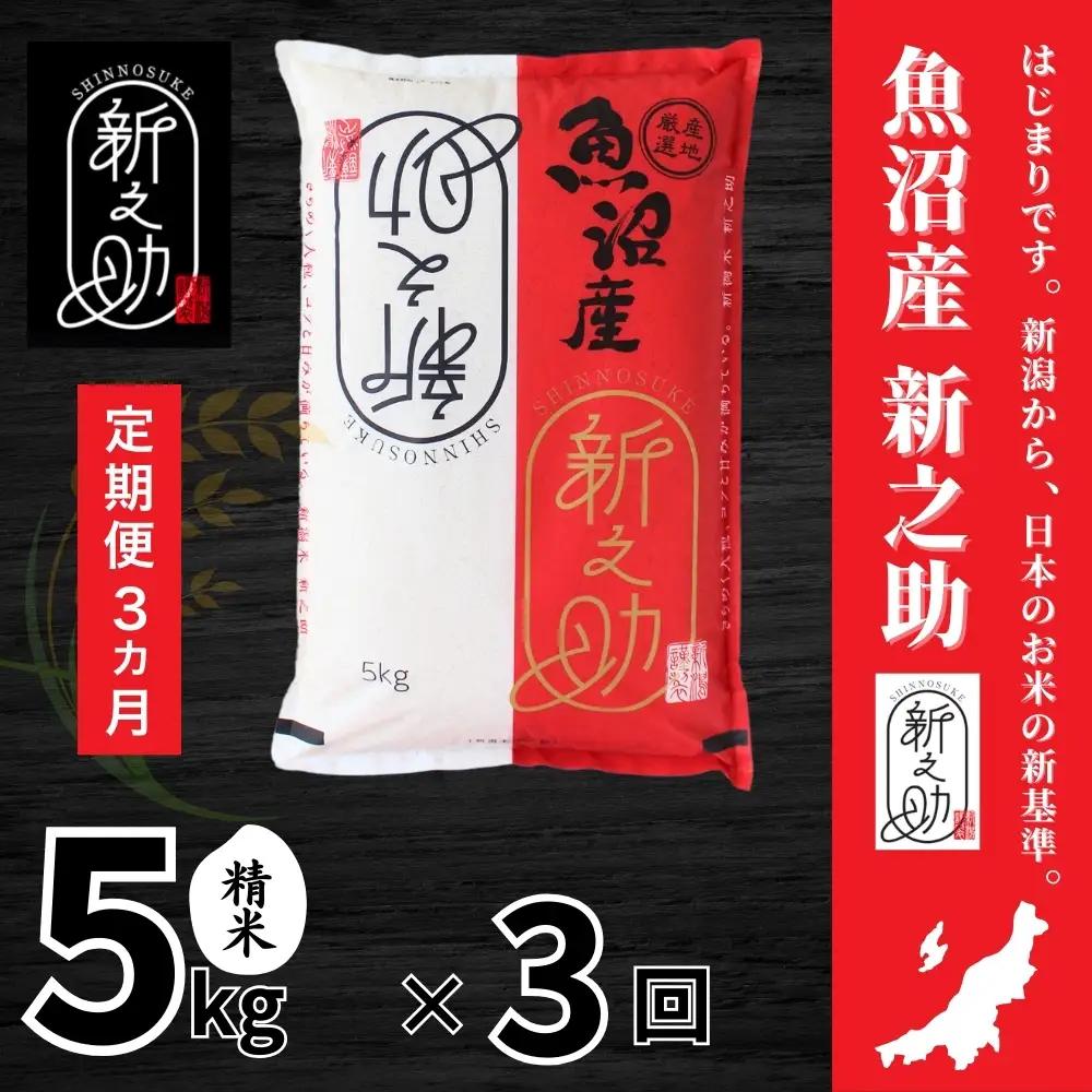【 令和8年産米 先行予約 】3ヶ月定期便 中魚沼産「新之助(しんのすけ)」5kg 有限会社イタバ | 津南町 魚沼 令和8年
