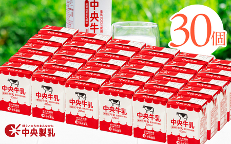 牛乳 200ml×30本 牛乳 中央製乳