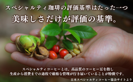 店主の厳選コーヒー 200g × 2種 （ 計400g ） + ドリップパック 5種 セット 豆