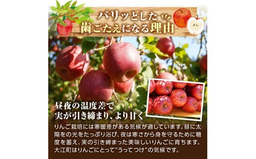 ≪先行受付≫紅玉りんご5kg 18個～25個 特秀【2026年10月下旬～順次発送予定】