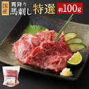 【ふるさと納税】国産 霜降り馬刺し「特選」 約100g タレ付き 馬刺し 霜降り 馬肉 ブロック 希少 お肉 グルメ お取り寄せ 冷凍 送料無料