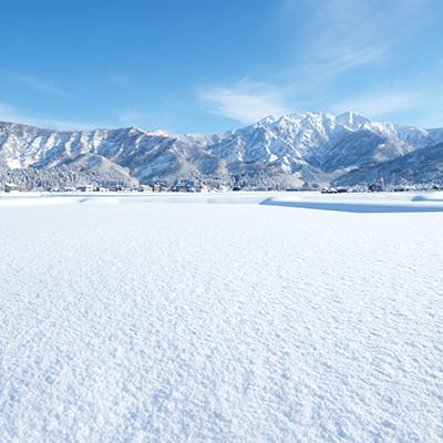 ふるさと納税 南魚沼市 【令和7年産《新米》】JAみなみ魚沼不動の人気「南魚沼産こしひかり」玄米 10kg(5kg×2袋) |  | 03