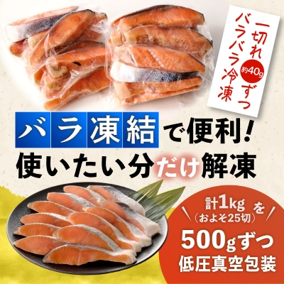 無添加・無塩　トラウトサーモン切身1kg入り【配送不可地域：離島】