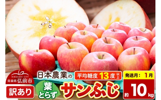【27年1月発送】りんご 葉とらずサンふじ 【訳あり】 約10kg 平均糖度13度以上 青森県産 [りんご 林檎 アップル 産地直送 葉とらず サンふじ 訳あり 自宅用 家庭用 果物 フルーツ くだもの おいしい 美味 甘い 青森県 弘前市 日本農業]