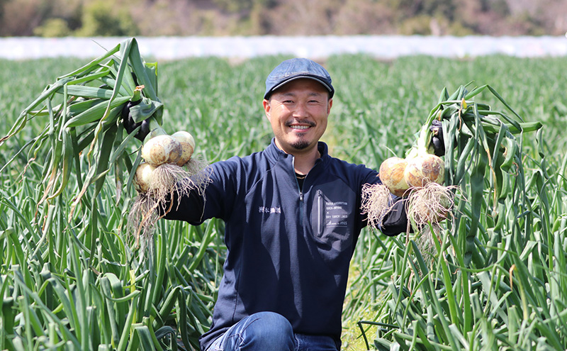 【予約受付】10kg★新玉ねぎ★オリジナルブランド玉葱『洲錦（しまにしき）商標登録商品』 玉ねぎ タマネギ 兵庫県 洲本市 淡路島