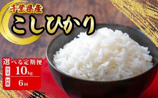 千葉県産 こしひかり 10kg 6ヶ月 定期便 米 こめ ご飯 おこめ 千葉県産 ライス ブランド米 精米 白米 風味 お米 美味しいごはん おにぎり 直送 家庭用 お試しサイズ 送料無料 ギフト 贈答用 人気 おすすめ こだわり 人気米 千葉米 ふっくら 甘い つややか 朝食 昼食 夕食 お取り寄せ お裾分け ふるさと納税 ふるさと納税お米 ふるさと納税米 千葉県 銚子市 根本商店