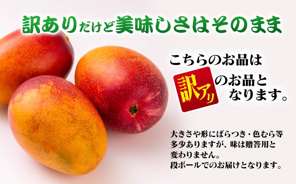 【先行予約】杉田農園 訳あり 西都市産 ご家庭用完熟マンゴー（２玉～3玉） 生産者直送 宮崎マンゴー　2026年発送＜1.3-25＞