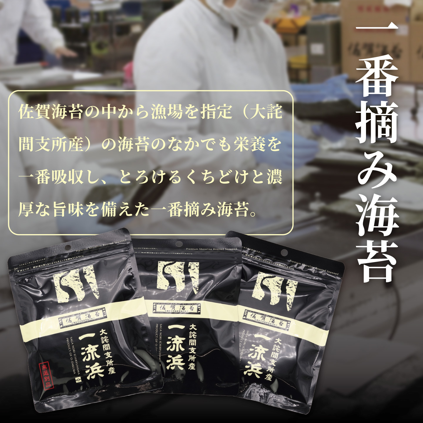 佐賀海苔 一流浜 一番摘み「無選別品」4切15枚×1袋【クロネコゆうパケット便利用】焼き海苔 有明海苔 ：A040-005_イメージ2