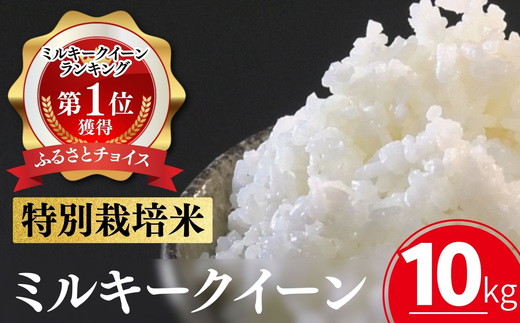 
                  ミルキークイーン＜特別栽培米＞精米 10㎏（減農薬 有機肥料 お米 米 おこめ こめ 白米 みるきーくいーん）【002310】
                