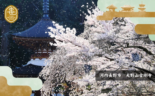 歴史と生姜が香る 薬膳精進カレー 観心寺 金剛寺 延命寺 住職発案 人気レストラン 創作精進料理KU-RI 監修 肉 魚 五辛 不使用 健康 簡単調理 レトルトパック こだわりの逸品 地域特産品 ギフ