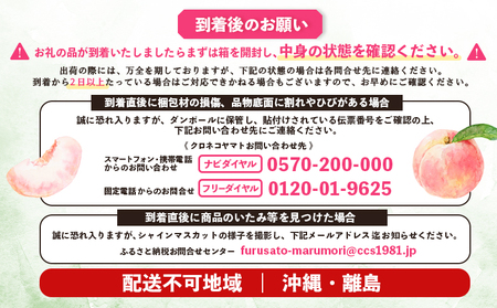 《7月中旬～9月中旬出荷》 宮城県丸森町産 桃 5～8玉（約2kg）【48004】