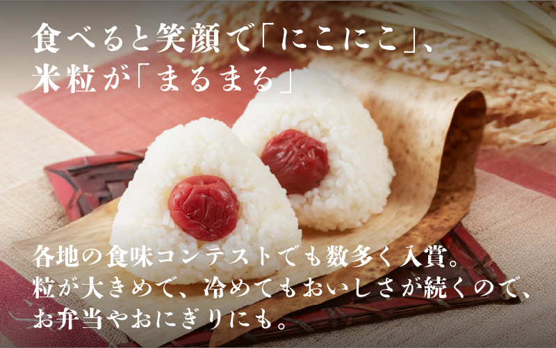 【ANA限定！50袋限定販売！！】＜2025年11月以降 順次発送予定＞令和7年産　にこまる　通常便（1回配送）計10kg（5kg×2袋） 通常便（1回配送）計10kg（5kg×2袋）