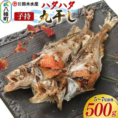 ふるさと納税 八峰町 子持 ハタハタ 丸干し 5〜7尾前後 500g|16_szk-120101