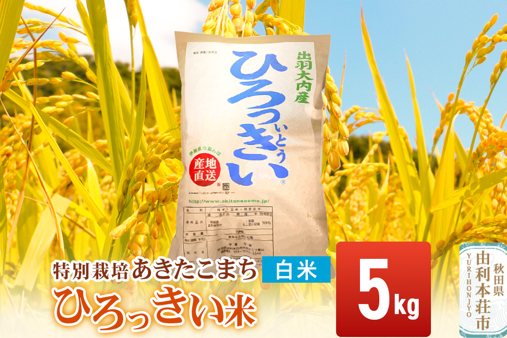 【白米】 秋田県産 あきたこまち 5kg 令和7年産 特別栽培米 ひろっきい米