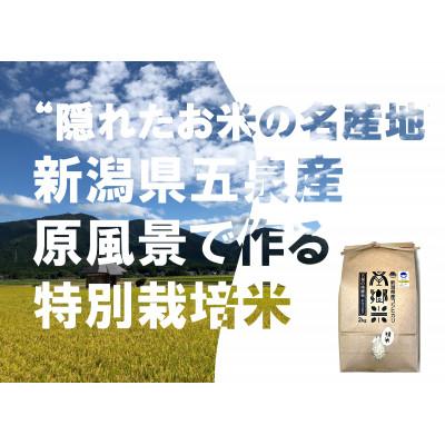 ふるさと納税 五泉市 【毎月定期便】特別栽培米コシヒカリ100%「南郷米」精米 4kg(2kg×2袋)全12回