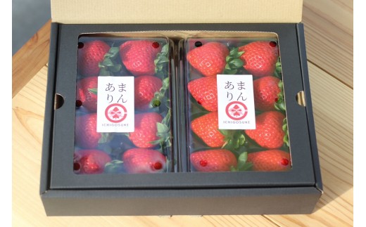 【先行予約】いちご あまりん 大粒 300g×2パック | 苺 イチゴ 大粒 埼玉県産 甘りん オリジナル いちご 苺 イチゴ ブランド苺 イチゴ フルーツ 甘い いちご イチゴ お取り寄せいちご イ