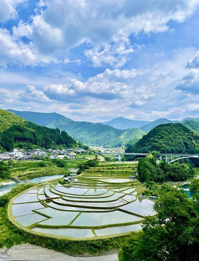 あらぎ島のお米