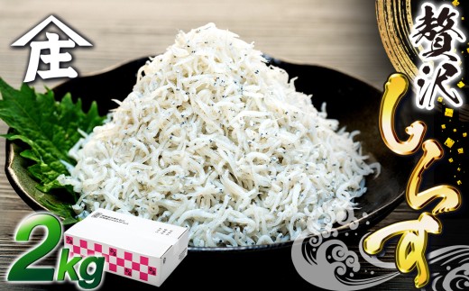 しらす 2kg ( 1kg × 2箱 ) 冷凍 贅沢 ちりめん しらす干し 減塩 釜揚げ ごはん 丼 パスタ チャーハン サラダ 魚  シラス sirasu しらすごはん シラス しらす シラス丼 shirasu sirasu SIRASU 人気シラス 海鮮 魚 魚貝 料理 山庄 愛知県 南知多町 師崎 シラス 美味しいしらす げきうましらす 南知多産しらす しらす丼 しらすパスタ 人気しらす