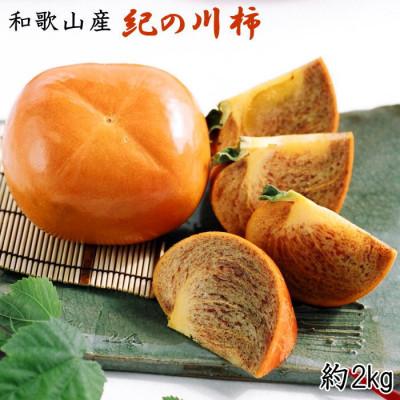 ふるさと納税 紀の川市 【2025年度発送分】【名産】紀の川柿約2kg(種なし・黒あま柿)秀品
