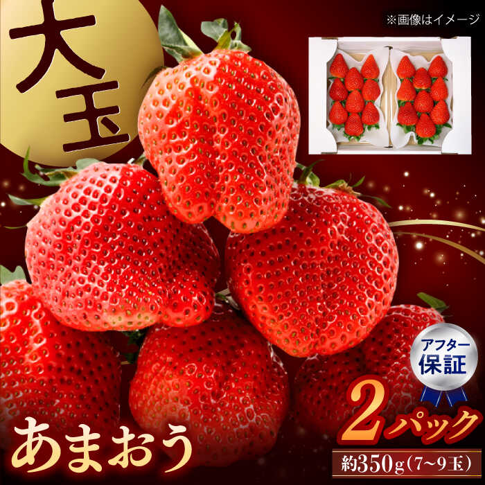 【ふるさと納税】【先行予約】【1月上旬より順次配送】あまおう 7玉〜9玉 約350g×2パック ▼あまおう いちごの王様 イチゴ 苺 ギフト 贈り物 産地直送 新鮮 果物 福岡 博多あまおう 桂川町/高嶋園芸[ADAT002] 12000 12000円