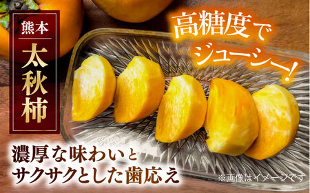 【先行予約】太秋柿 約3kg 柿 カキ フルーツ 果物 秋 【日本フルーツ株式会社】 [ZFJ020]
