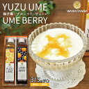 【ふるさと納税】YUZUUME（柚子梅）・UMEBERRY（梅ベリー） 丹波・梅ピューレ 京都 丹波 完熟梅 無添加 5倍希釈 315ml