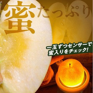 《先行予約》大江町産 山形りんご 「はるか」 3kg 2L～3L 10～11玉【2024年12月上旬頃～発送予定】048-003