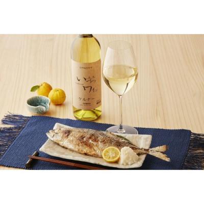 ふるさと納税 川崎市 井筒ワイン 酸化防止剤無添加 井筒 ケルナー 白辛口 720ml × 2本 発売元 株式会社片山 |  | 02