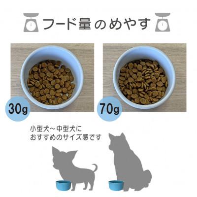 ふるさと納税 瑞浪市 美濃焼　陶器製ペット用フードボウル【Bamboo プレーンフードボウル/ブルーpet140】 |  | 02