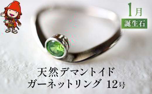 誕生石 1月 天然デマントイドガーネット 指輪 ｜ リング 12号 レディース PT900 プラチナ アクセサリー 婚約指輪 プロポーズ 結婚指輪 誕生日 婚約 結婚 母の日 プレゼント 祝 記念日 女性 贈り物 大分県 中津市