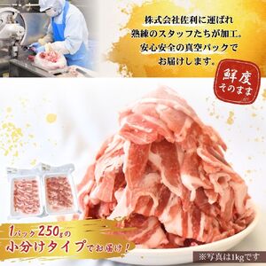 豚肉 切り落とし 涌谷町産 宮城野ポーク 豚切り落とし 2kg (250g×8p) 【sari009】