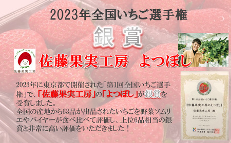 《2026年産先行予約》「西脇市産 佐藤果実工房のよつぼし」（約270g×２パック 約540g）【佐藤果実工房 全国いちご選手権銀賞受賞農園 TVで紹介!】令和８年２月上旬配送分（07-45）